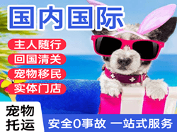 南宁吴圩航空空运国际宠物托运 【国